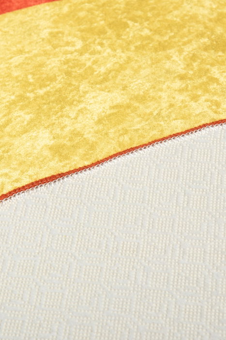 Conceptum Alfombra Leon Multicolor de 140 cm